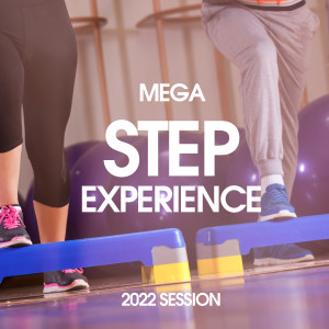 Album Mega Step Experience 2022 Session 132 Bpm / 32 Count oleh Heartclub
