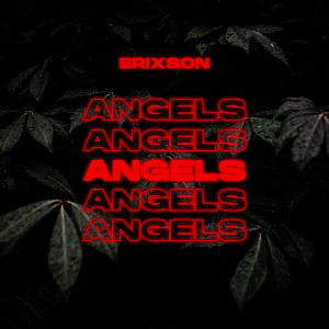 Album Angels from Brixson
