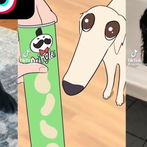 收聽STEPH EVO的Let me do it for you歌詞歌曲