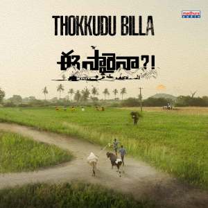 Listen to Thokkudu Billa (From "Eesaraina?!") song with lyrics from Goreti Venkanna