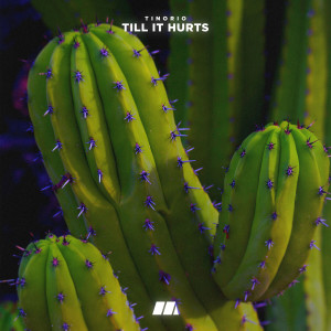 收听Tinorio的Till It Hurts歌词歌曲