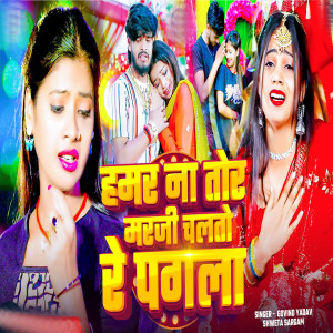 Album Hamar Na Tor Marji Chalto Re Pagla from Shweta Sargam