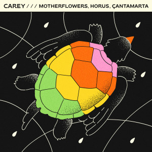 Motherflowers的专辑Carey