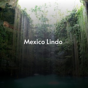 Listen to Que Me Quieres song with lyrics from Raúl Planas
