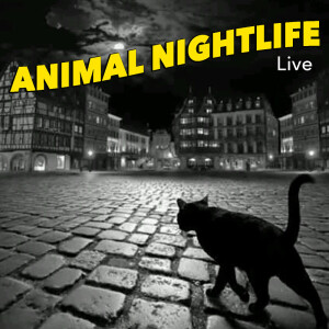 Dengarkan Mighty Hands Of Love lagu dari Animal Nightlife dengan lirik