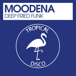ดาวน์โหลดและฟังเพลง Deep Fried Funk พร้อมเนื้อเพลงจาก Moodena