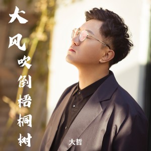 收聽大哲的大風吹倒梧桐樹歌詞歌曲
