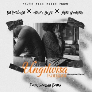 Da Mabusa的专辑Ungilwisa Kanjani (Amapiano Remix)