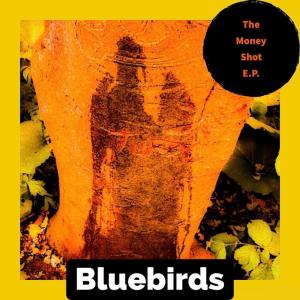 收聽Bluebirds的Gunt (Explicit)歌詞歌曲