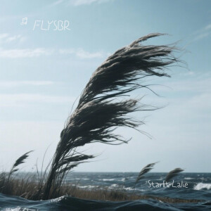 Listen to Starlit Lake song with lyrics from FLYSBR