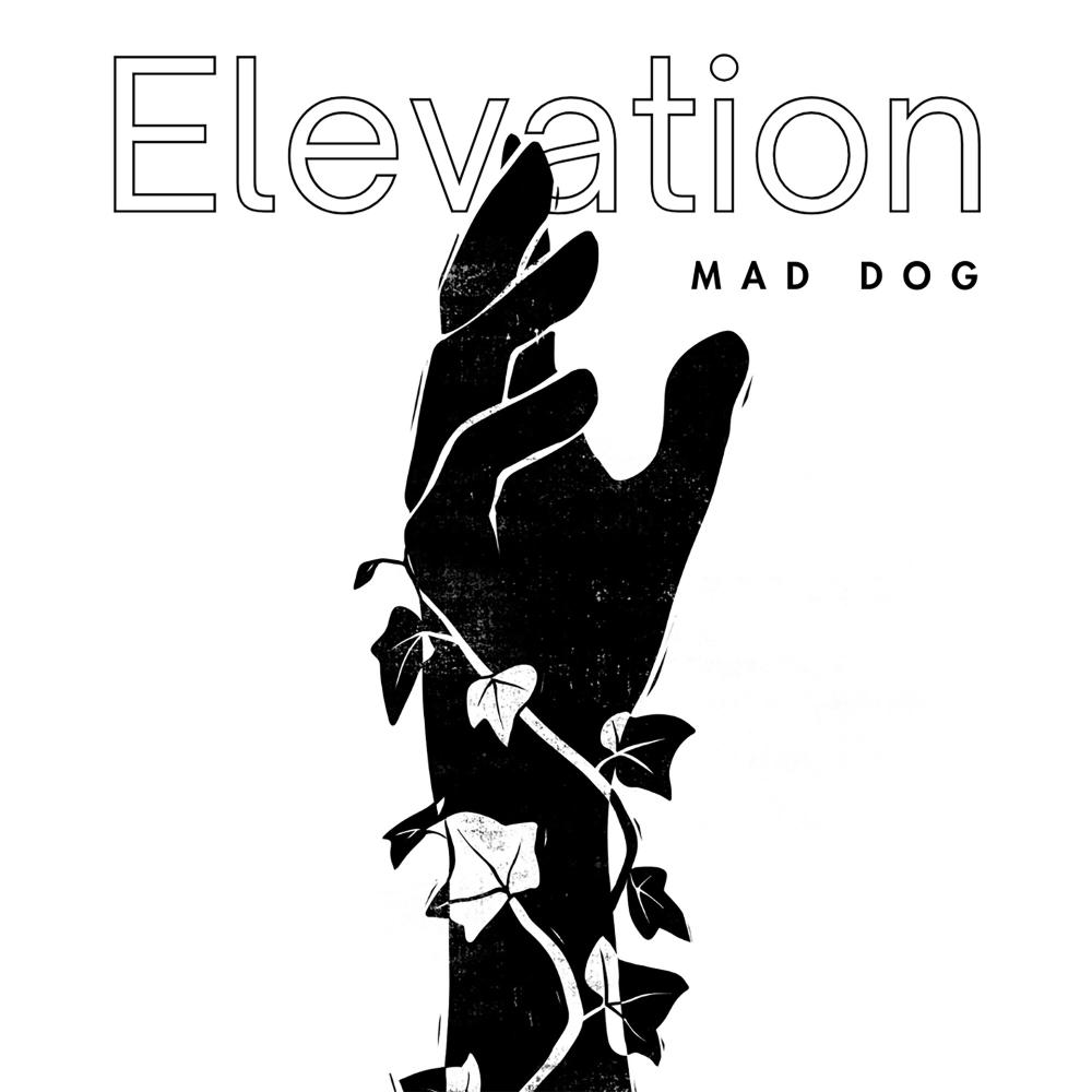 Elevation