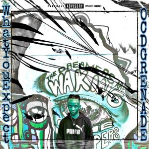 ดาวน์โหลดและฟังเพลง What You Expect (Explicit) พร้อมเนื้อเพลงจาก OCD GRENADE
