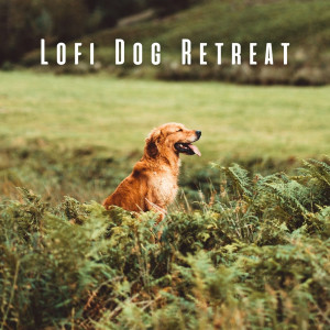 Lofi Dog Retreat: Mellow Beats for Relaxing with Your Pup