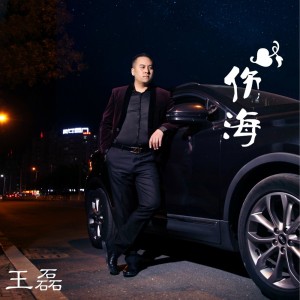 Album 伤海 from 王大雷
