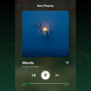 default playlist img