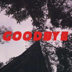 Album Goodbye from Mahkenna