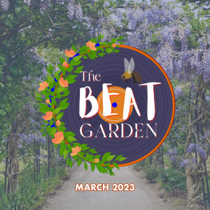 THE BEAT GARDEN的專輯Under Control
