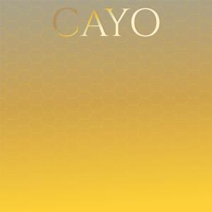 Various Artists的專輯Cayo