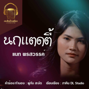 อัลบัม นกแตดตี้ ศิลปิน แนท พรสวรรค์