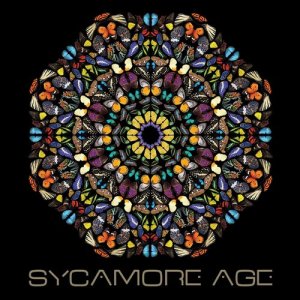 อัลบัม Sycamore Age ศิลปิน Sycamore Age