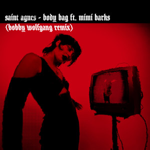 อัลบัม Body Bag feat. Mimi Barks (Bobby Wolfgang Remix) (Explicit) ศิลปิน Saint Agnes
