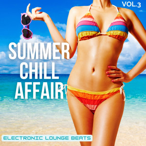 Various Artists的專輯Summer Chill Affair, Vol.3