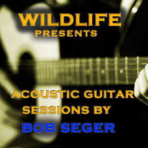 Dengarkan lagu We've Got Nine Tonight nyanyian Wildlife dengan lirik