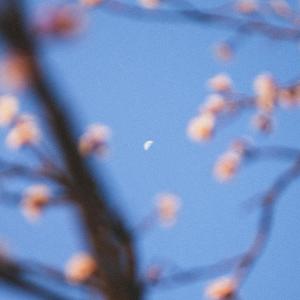 Balynt的專輯Hold On