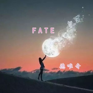 收聽德唯奇的Fate (1.1x)歌詞歌曲