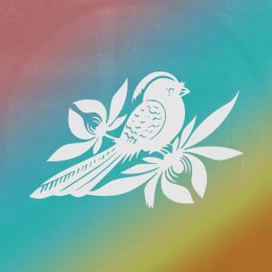 default album img