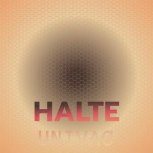 Album Halte Univac from 