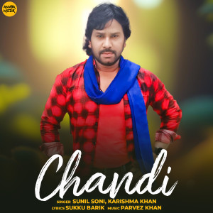 Album Chandi from Sunil Soni