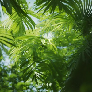 Album 夏天 from AKA小健