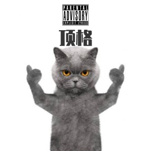 Listen to 顶格 (完整版) song with lyrics from 李外LilWine