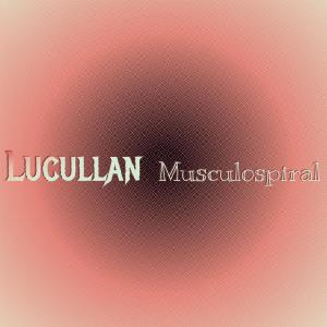 Dengarkan lagu Lucullan Musculospiral nyanyian Bere Yeni dengan lirik