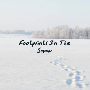 Album Footprints in the Snow from 