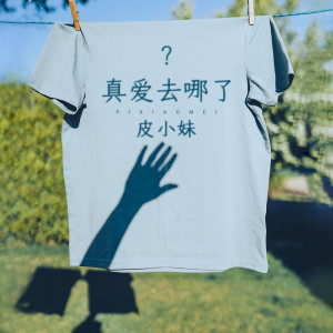 皮小妹的專輯真愛去哪了