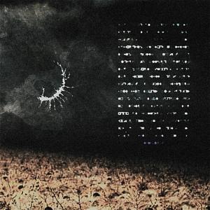 收聽saturn's lament的harvesting dead fields (Explicit)歌詞歌曲