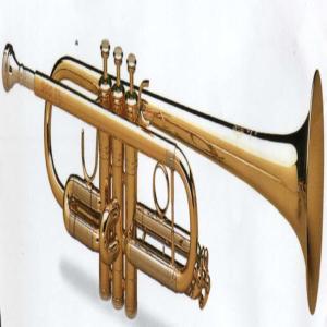 ดาวน์โหลดและฟังเพลง Party (Matrix Insomnia Rmx) พร้อมเนื้อเพลงจาก trumpet