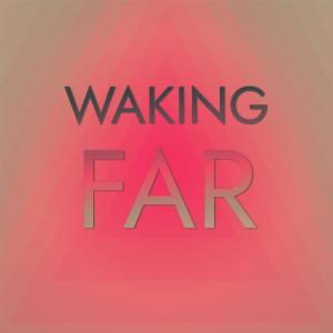 Various Artists的專輯Waking Far