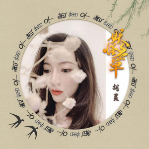 Album 老调子 from 胡灵