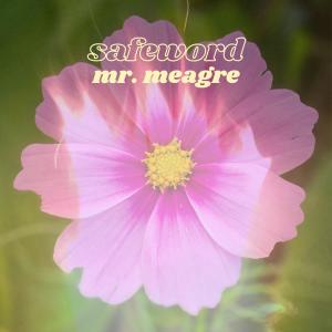 Safeword的專輯Mr. Meagre