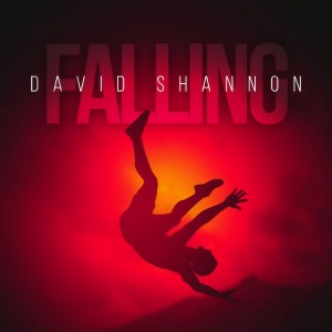 收聽David Shannon的Falling歌詞歌曲