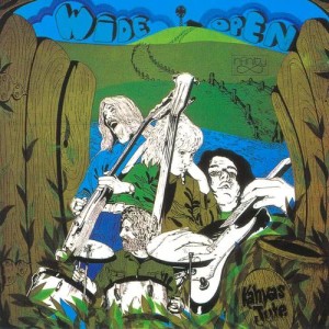 ดาวน์โหลดและฟังเพลง Parade Of Fools พร้อมเนื้อเพลงจาก Kahvas Jute