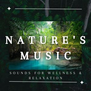 Album Nature's Music: Sounds For Wellness & Relaxation from Soothing Nature