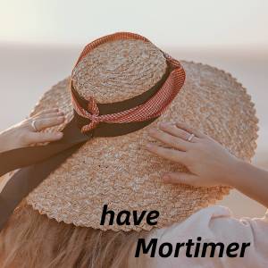 Mortimer的專輯have