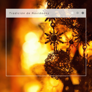 ดาวน์โหลดและฟังเพลง We Wish You A Merry Christmas: for All Christmas Times พร้อมเนื้อเพลงจาก Christmas Sound Effects