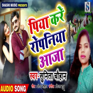 Album Piya Kare Ropaniya Aaja from Sunita Chauhan