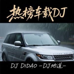 Album 开车就得听DJ from 