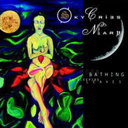 Sky Cries Mary的專輯Moon Bathing On Sleeping Leaves